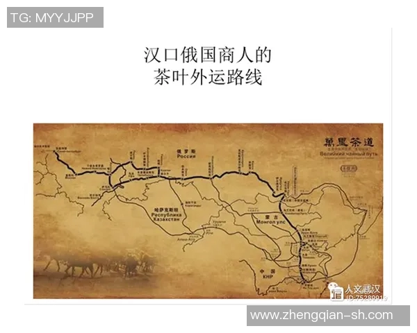 深圳排球队与南京排球队赛后复盘分析意识与战术的深度探讨