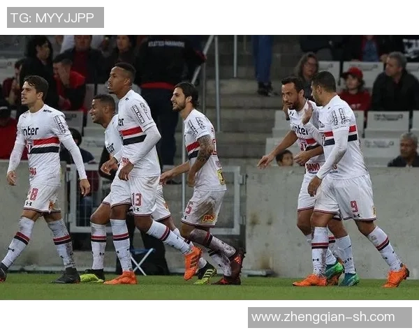 帕梅拉斯与累体育2017年精彩对决回顾与分析