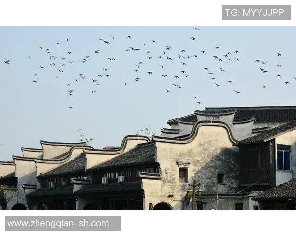 雪州与莎涝月的精彩对决揭示了两地文化的独特魅力与深厚底蕴